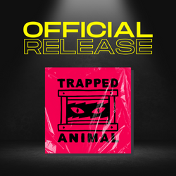 Trapped Animal Records is an independent record label based in Cambridge, UK. They seek out the best new music from underground and rising artists. They are not confined by genre or borders, their catalogue & roster is instead connected by exquisite, timeless songwriting and epic soundscapes. Your remix will be released digitally through Trapped Animal Records to DSPs like Spotify, Apple Music and Bandcamp etc.